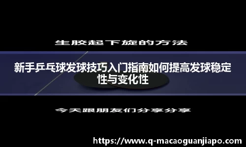 新手乒乓球发球技巧入门指南如何提高发球稳定性与变化性